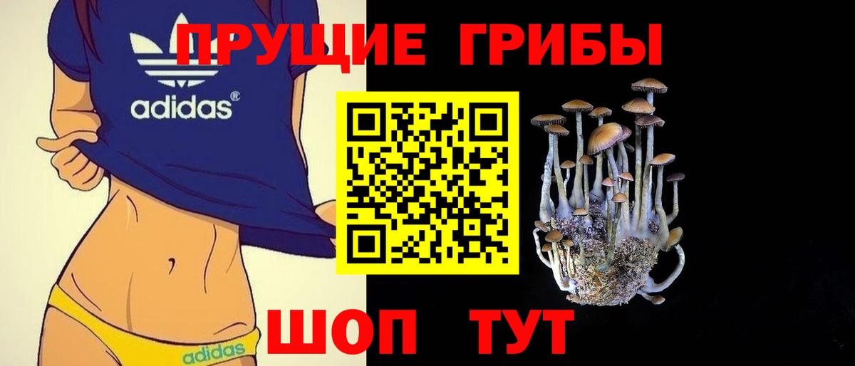 Камень-на-Оби  Псилоцибиновые грибы мухоморы  Вход с VPN 